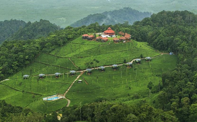Wild Planet Jungle Resort Devāla Екстериор снимка
